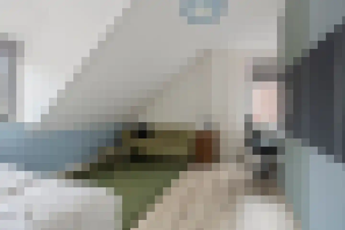 Vosbultkamp 37 Overdinkel thumbnail 34