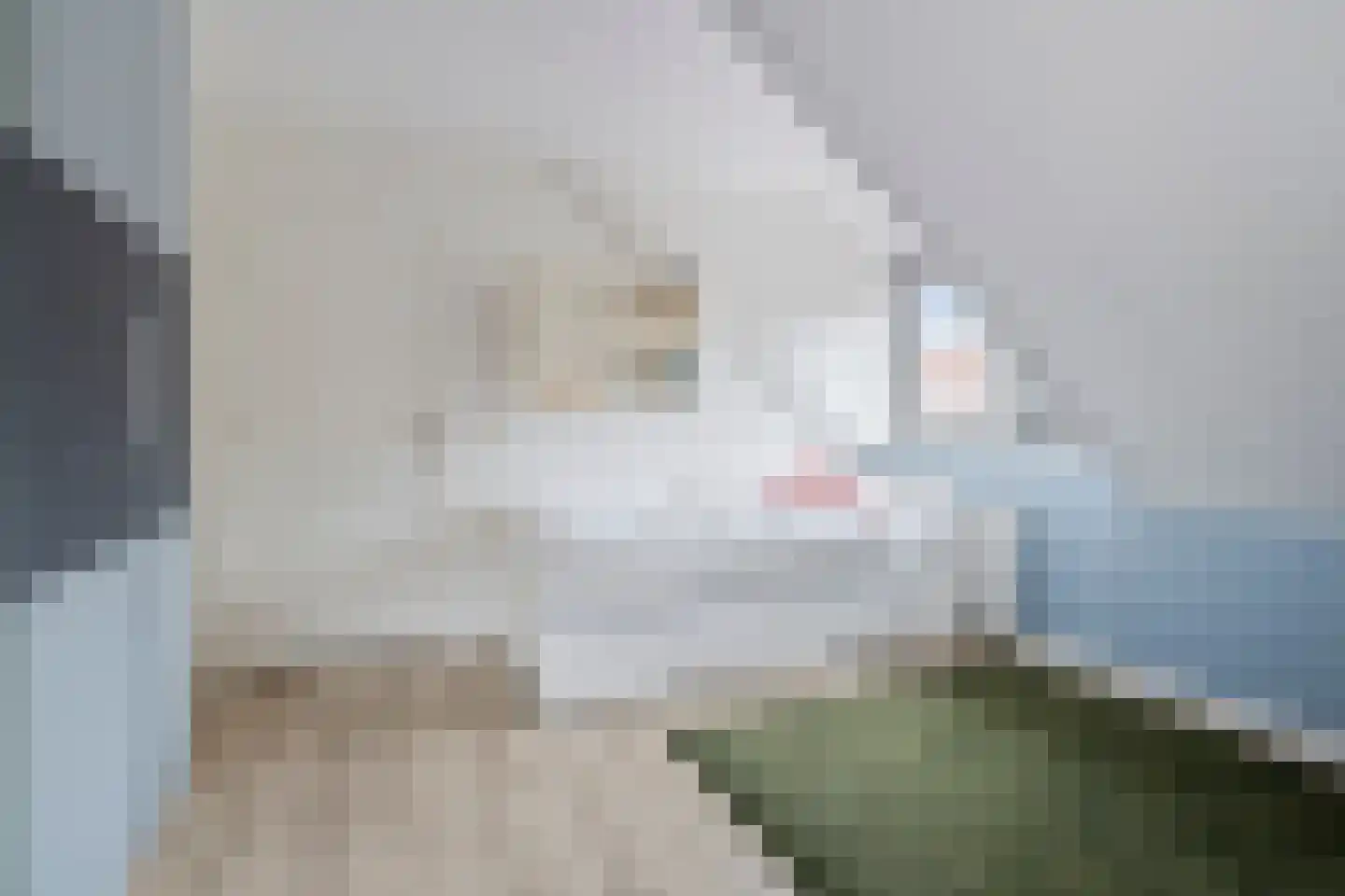 Vosbultkamp 37 Overdinkel thumbnail 35