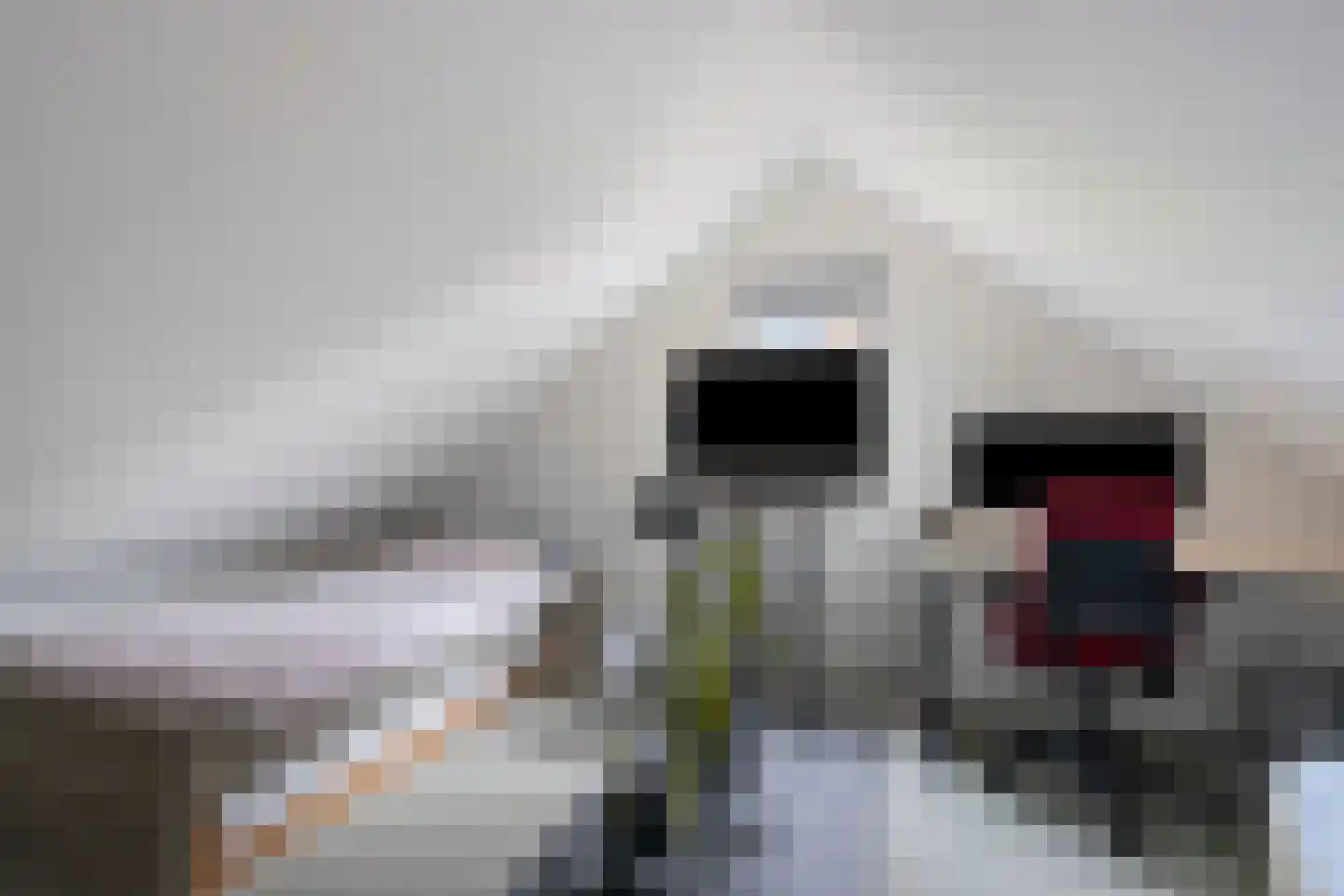 Vosbultkamp 37 Overdinkel thumbnail 38