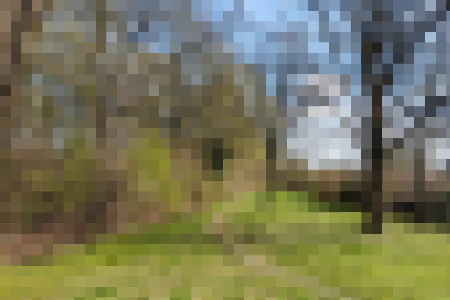 Vosbultkamp 37 Overdinkel thumbnail 48