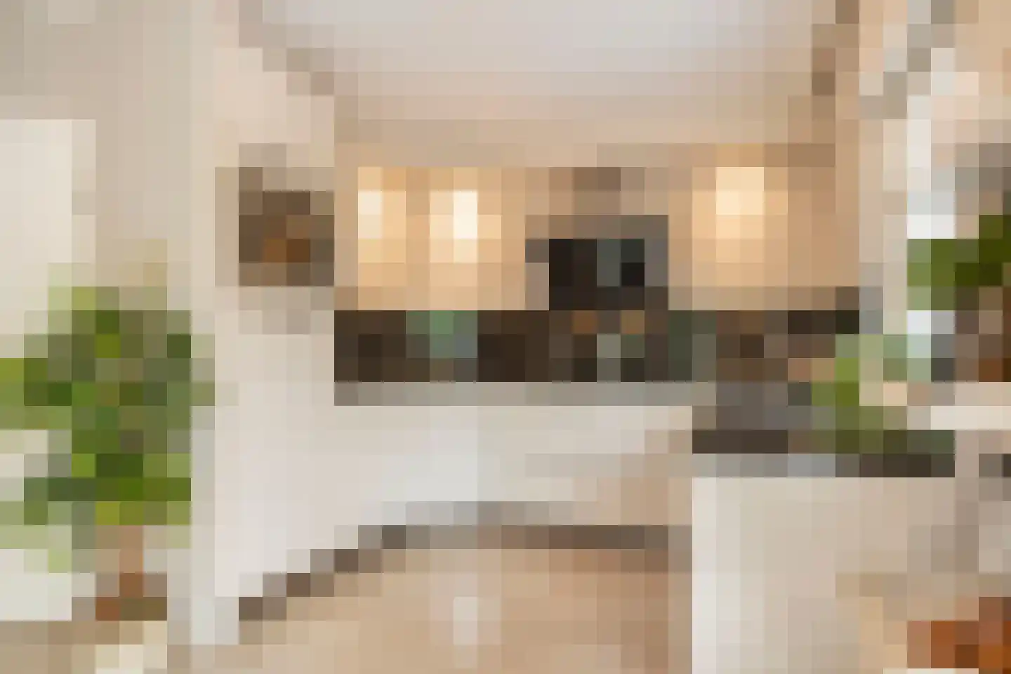 Vosbultkamp 53 Overdinkel thumbnail 13