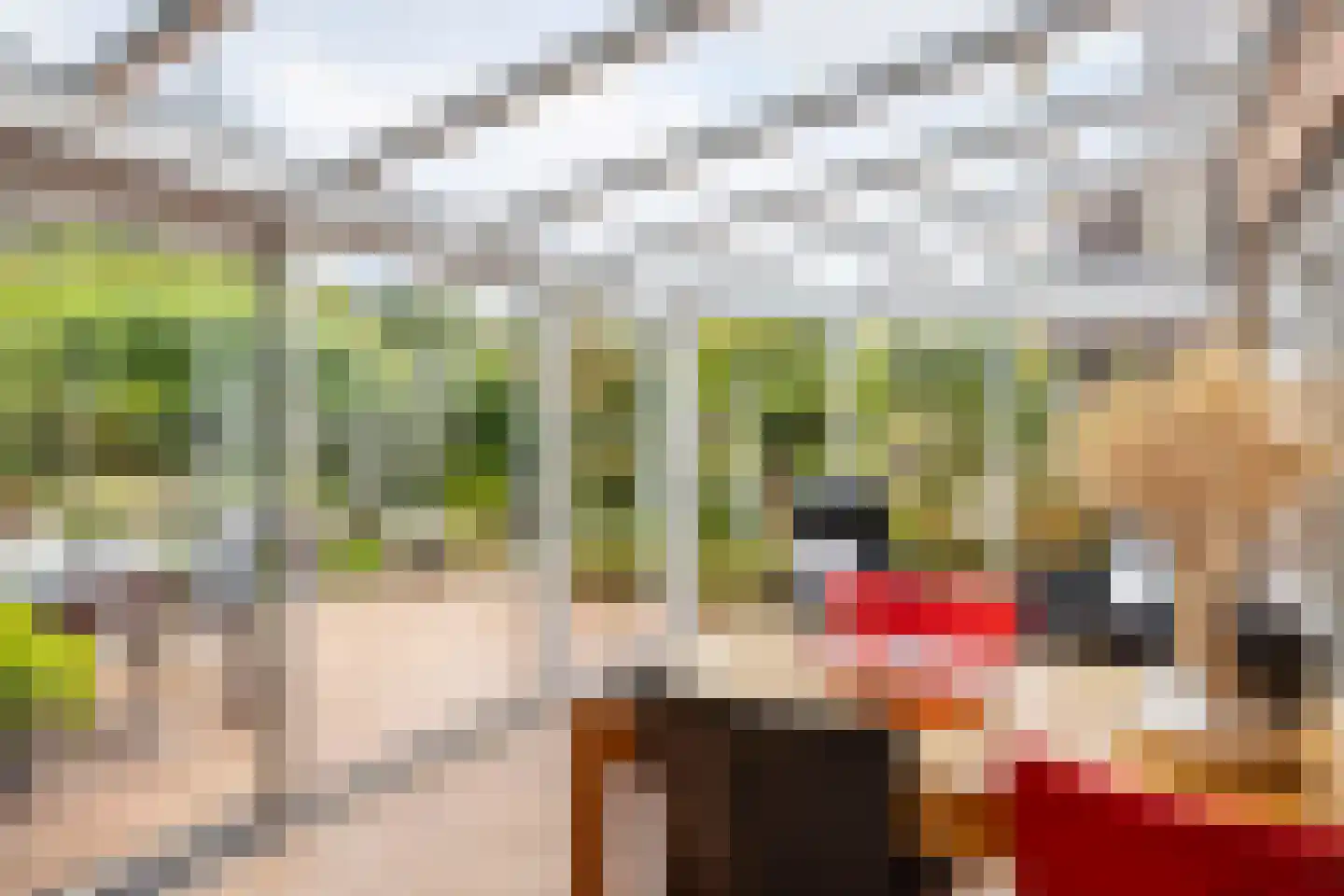 Vosbultkamp 53 Overdinkel thumbnail 16