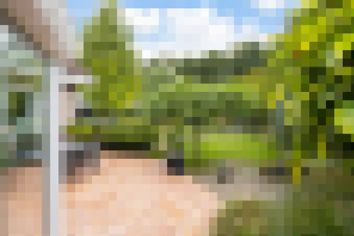 Vosbultkamp 53 Overdinkel thumbnail 34