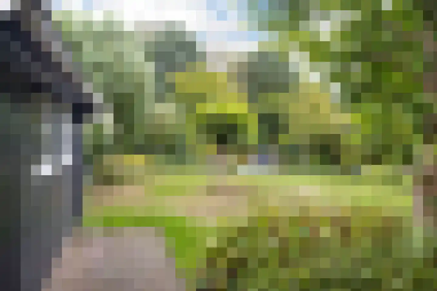 Vosbultkamp 53 Overdinkel thumbnail 36