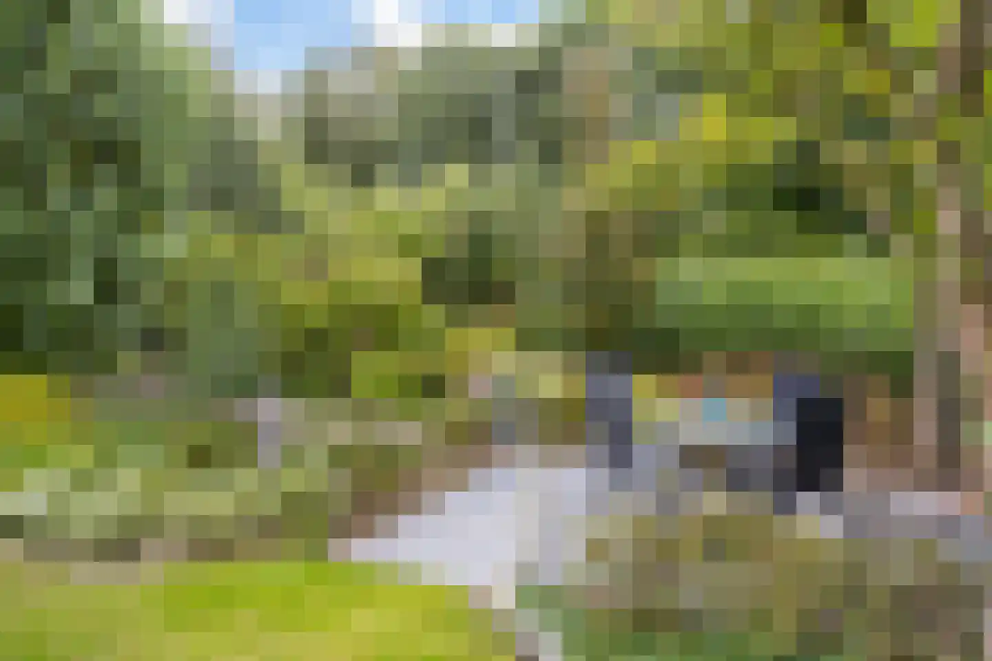 Vosbultkamp 53 Overdinkel thumbnail 37