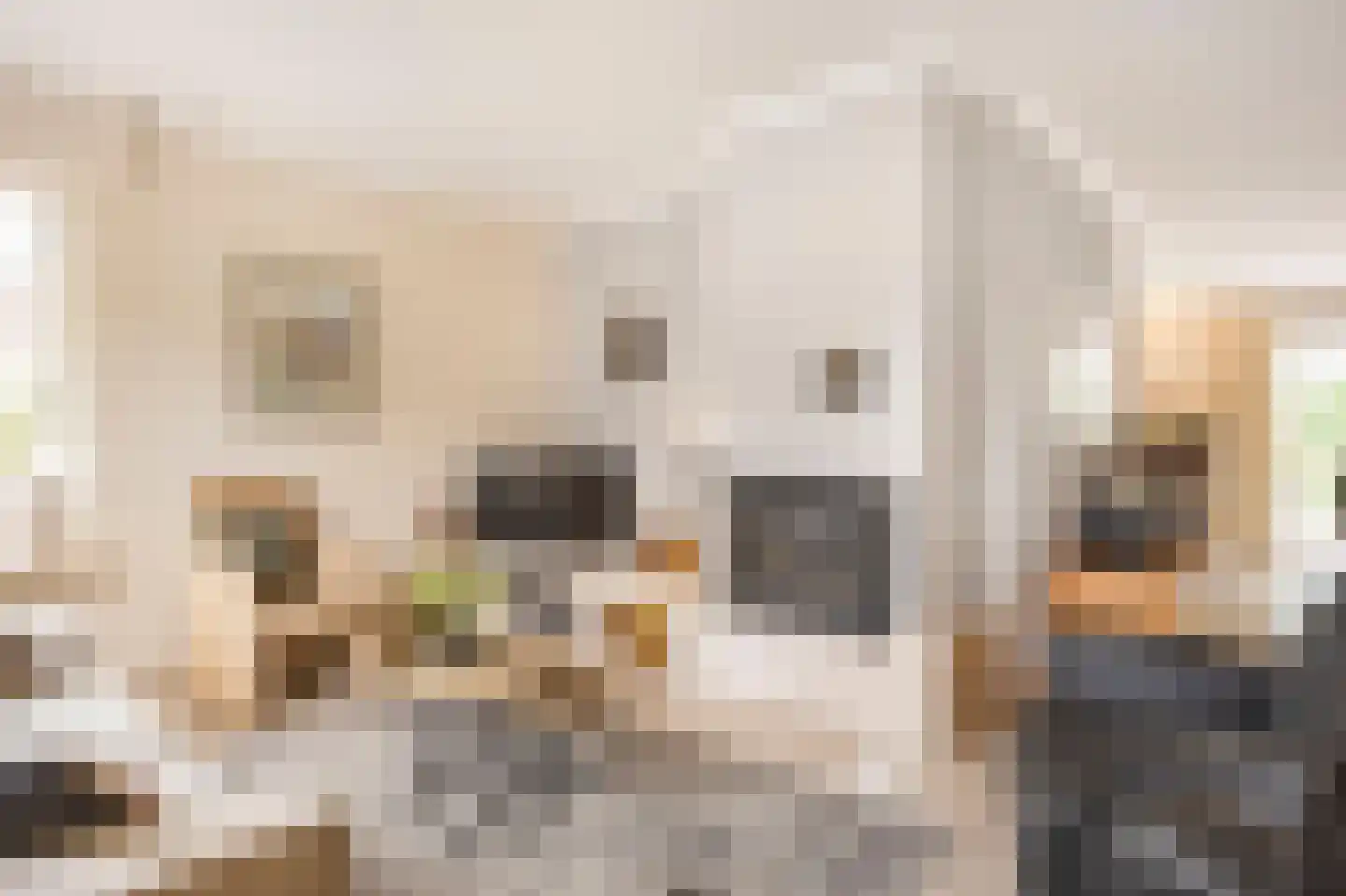 Vosbultkamp 53 Overdinkel thumbnail 7