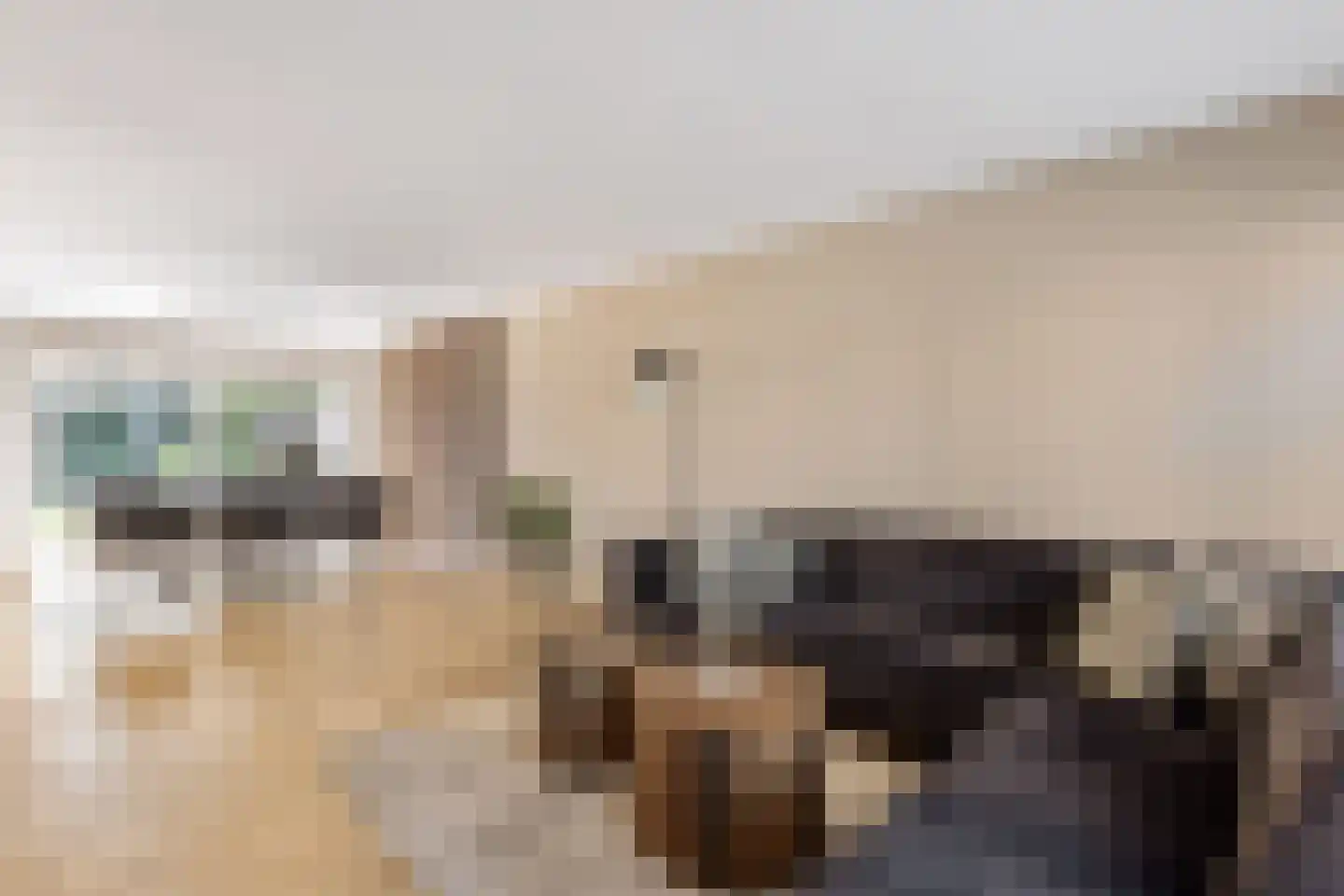 Vosbultkamp 74 Overdinkel thumbnail 8