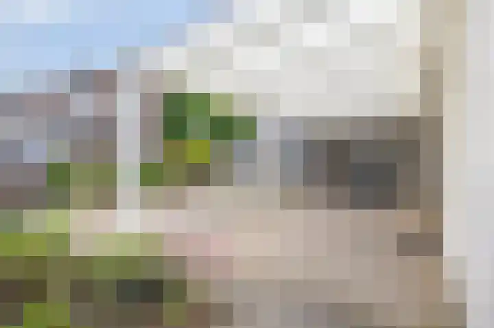 Vosdaalstraat 16 Limbricht thumbnail 33