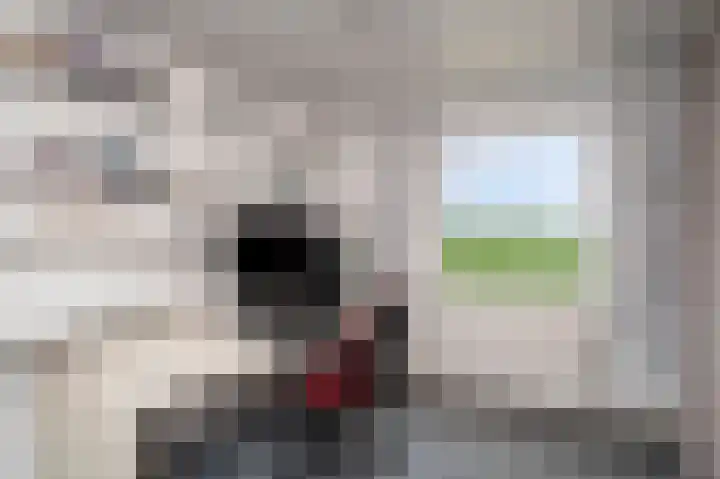 Vosdaalstraat 16 Limbricht thumbnail 36