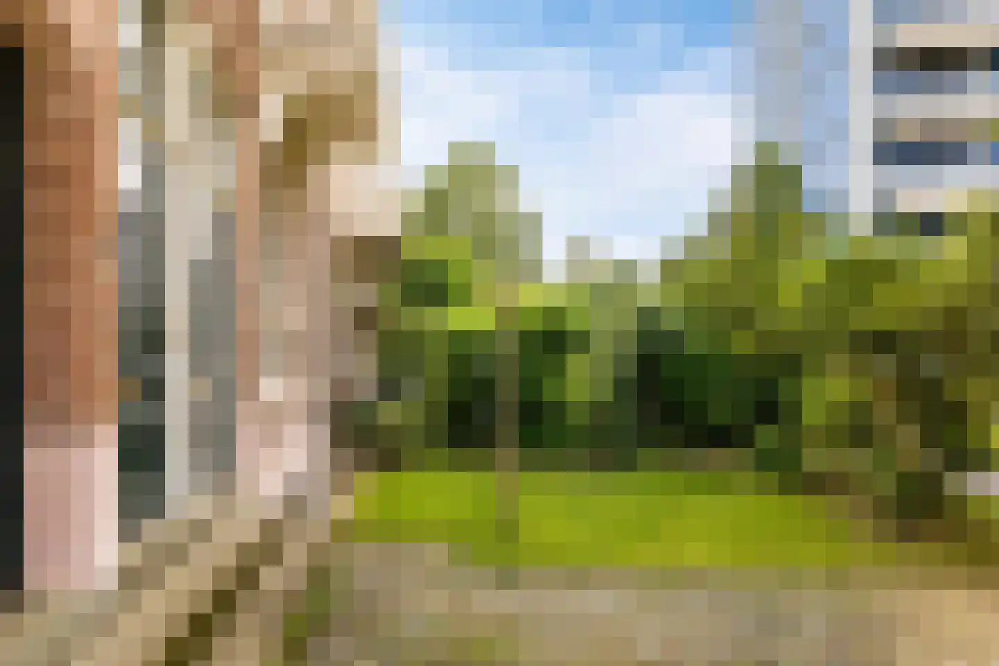 Vosdijk 10 Arnhem thumbnail 5