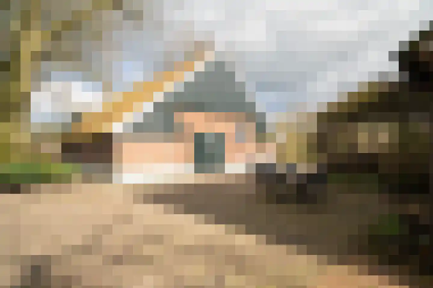 Voshaarweg 110 Enschede thumbnail 46