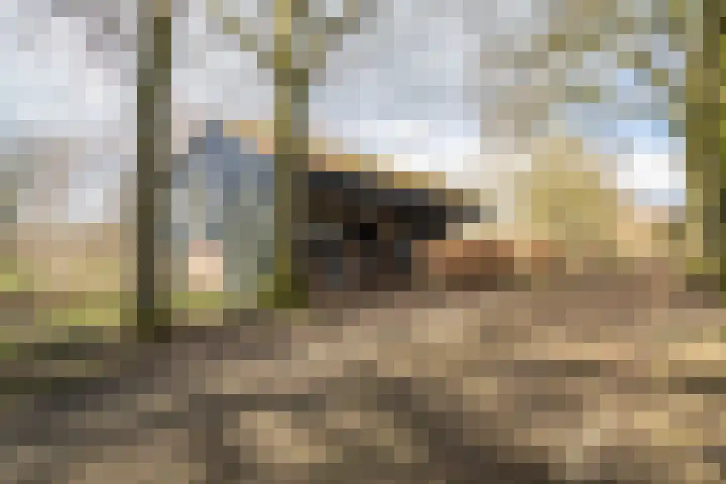 Voshaarweg 110 Enschede thumbnail 48
