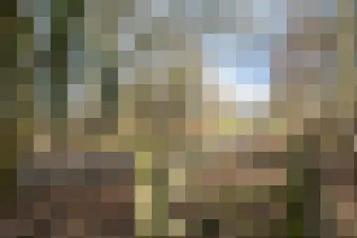 Voshaarweg 110 Enschede thumbnail 51
