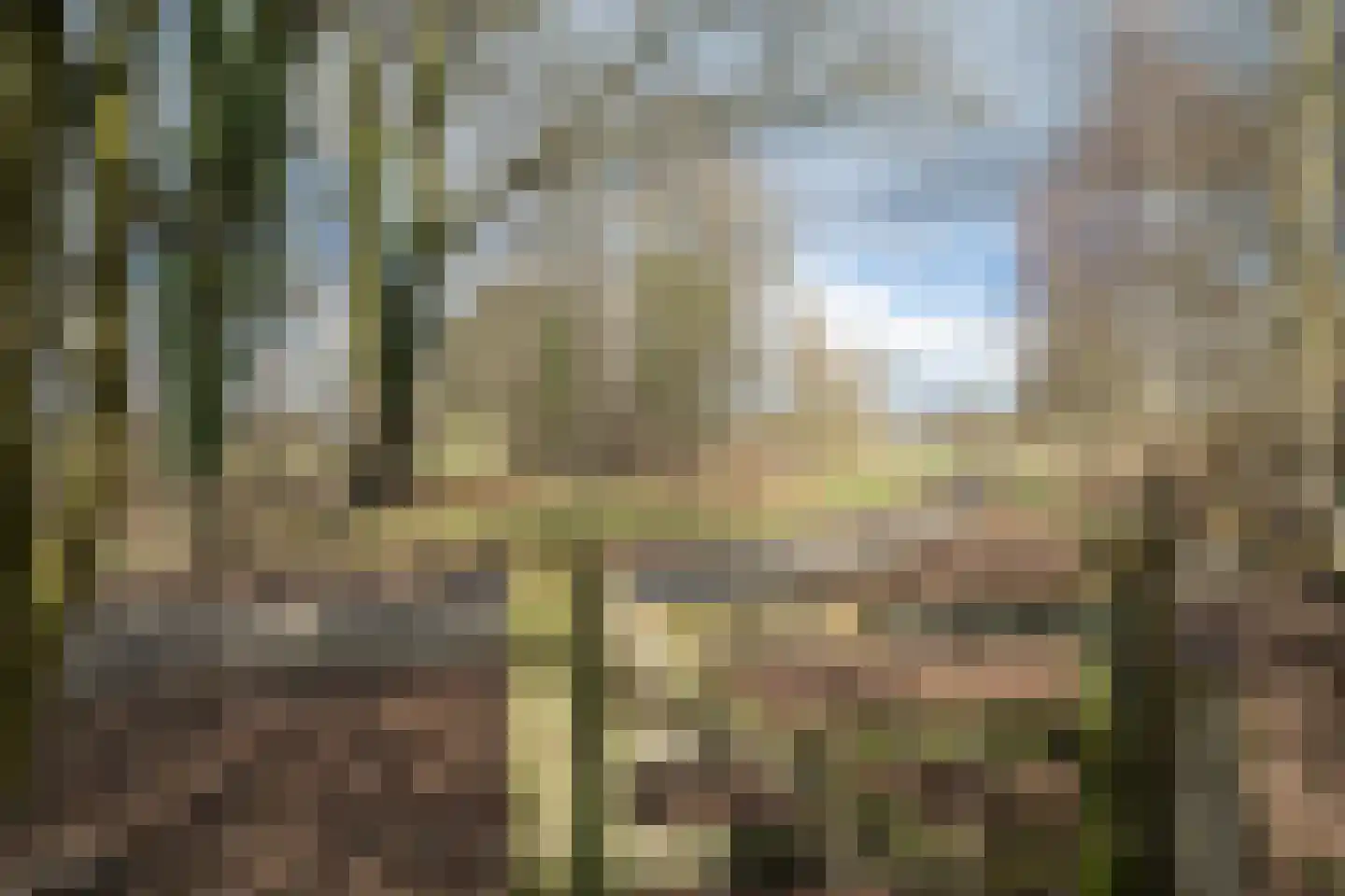 Voshaarweg 110 Enschede thumbnail 51