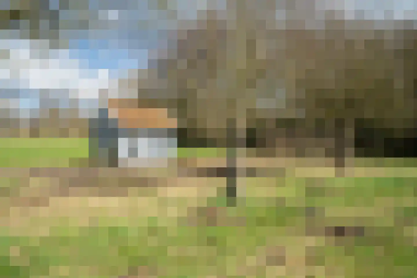 Voshaarweg 110 Enschede thumbnail 55
