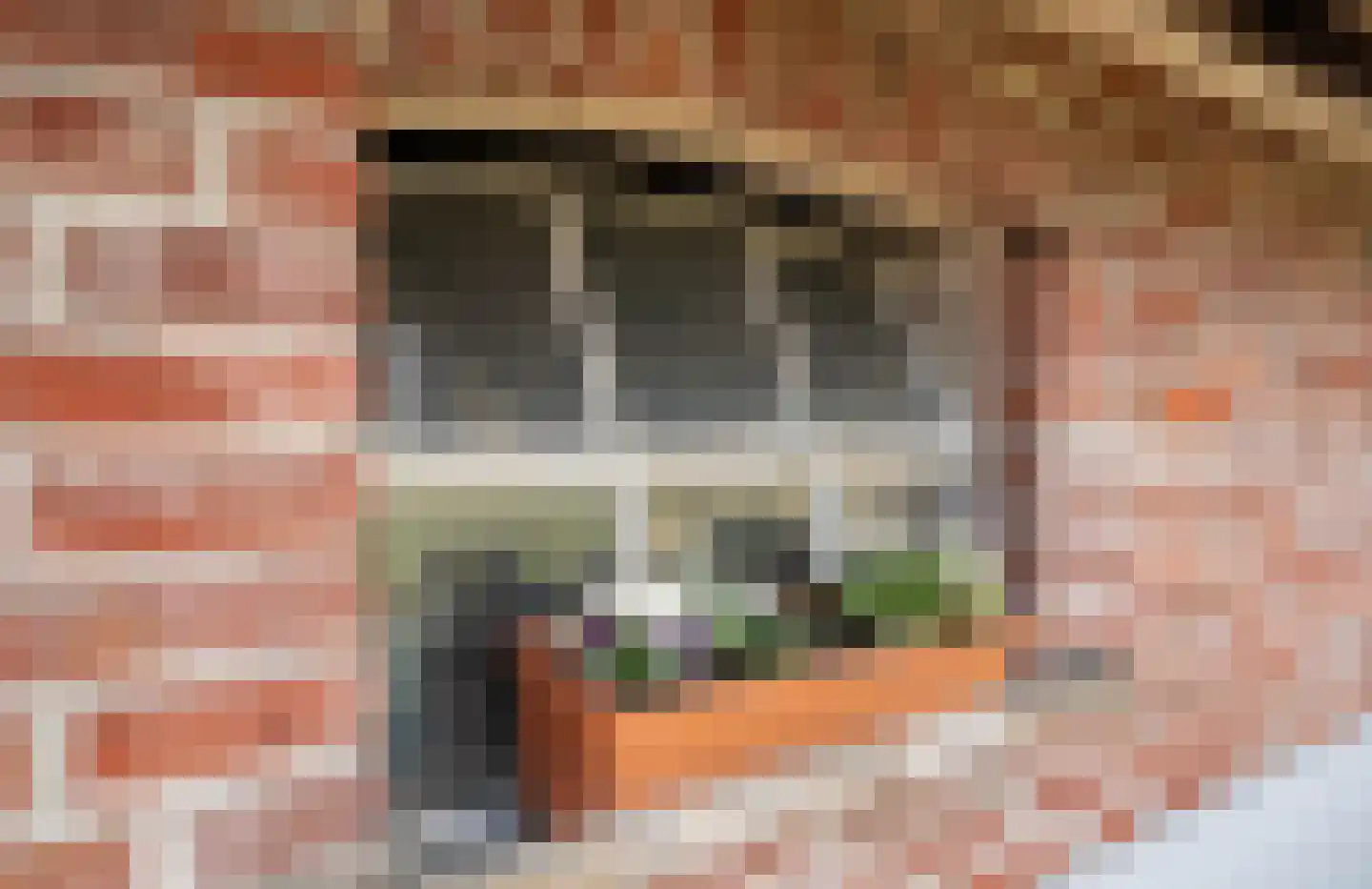 Voshaarweg 110 Enschede thumbnail 56