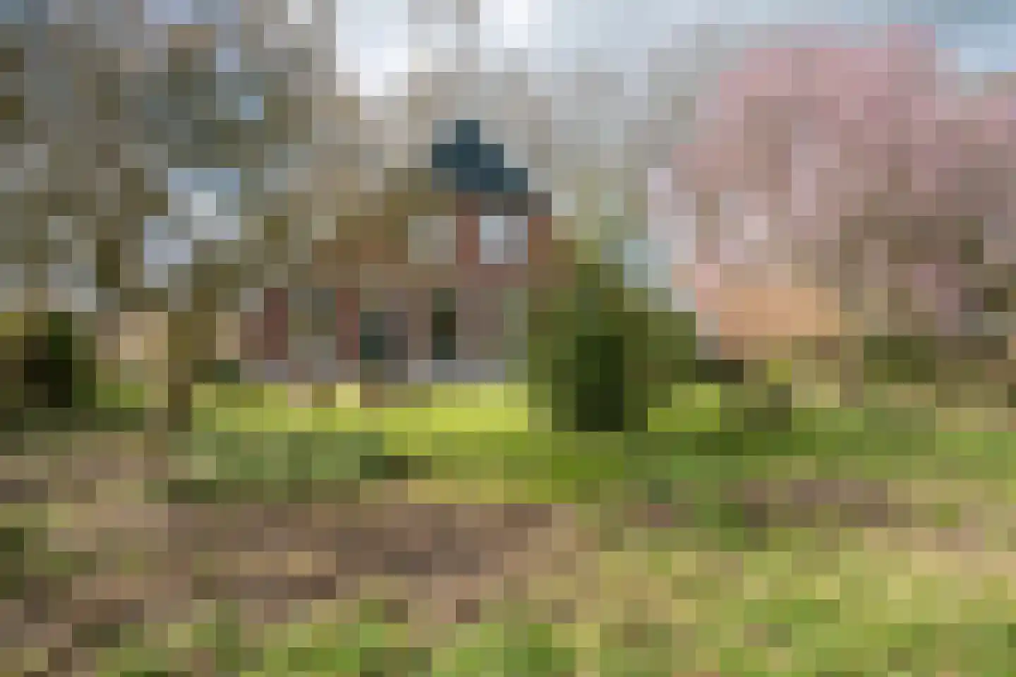 Voshaarweg 110 Enschede thumbnail 57