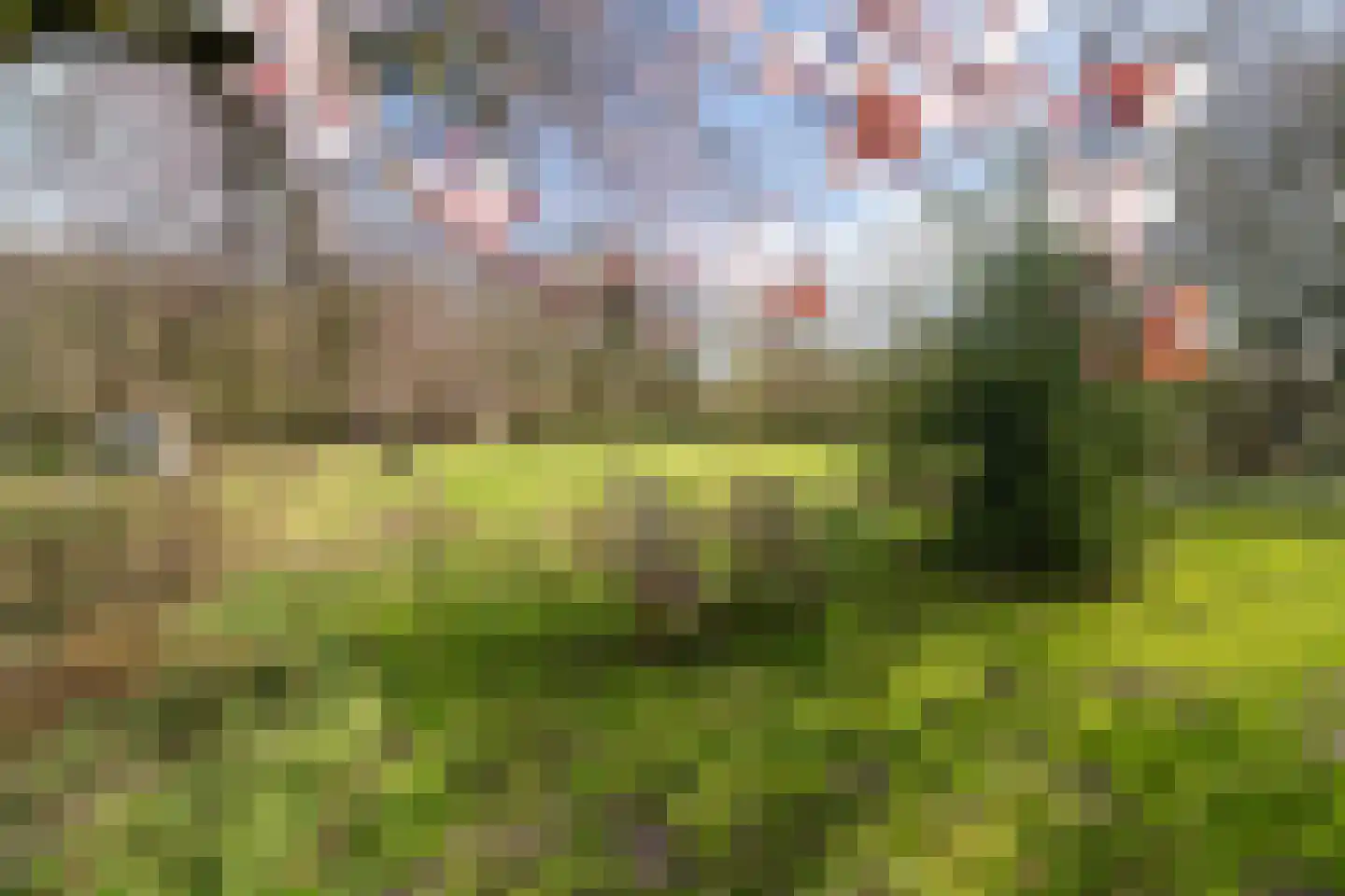 Voshaarweg 110 Enschede thumbnail 59