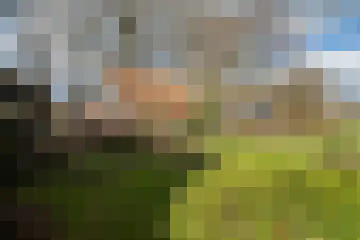 Voshaarweg 110 Enschede thumbnail 60
