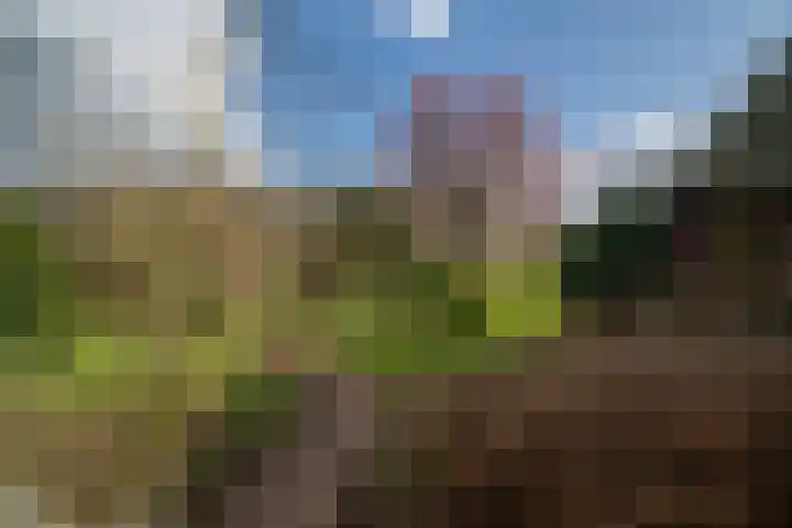 Voshaarweg 110 Enschede thumbnail 61