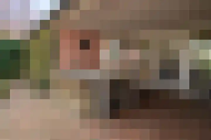 Voshaarweg 110 Enschede thumbnail 64