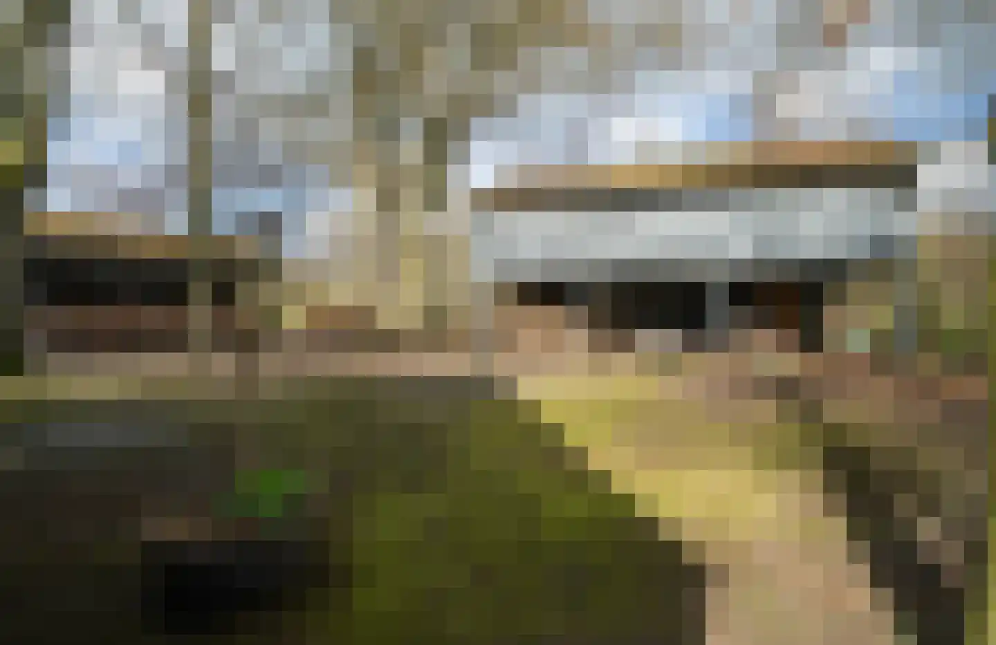 Voshaarweg 110 Enschede thumbnail 65