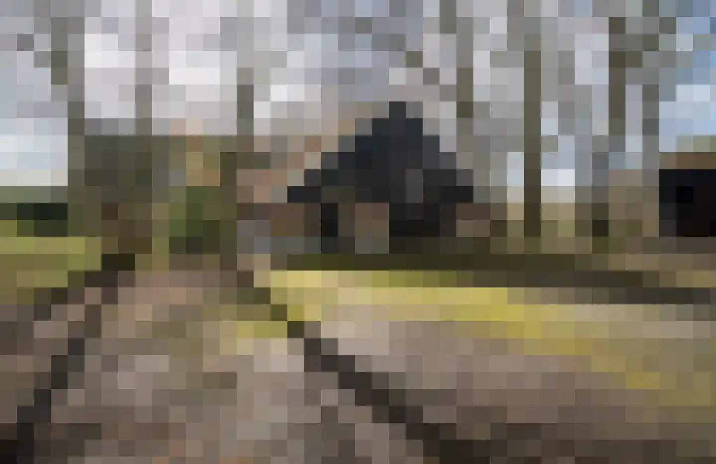 Voshaarweg 110 Enschede thumbnail 66