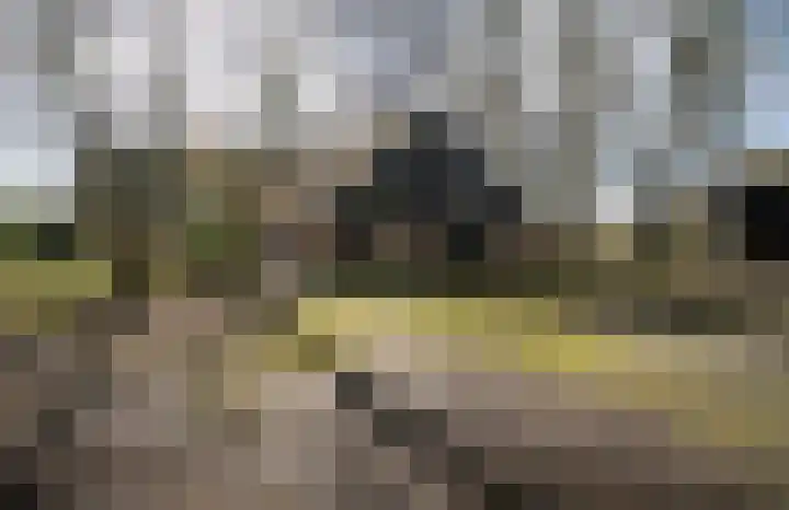 Voshaarweg 110 Enschede thumbnail 66