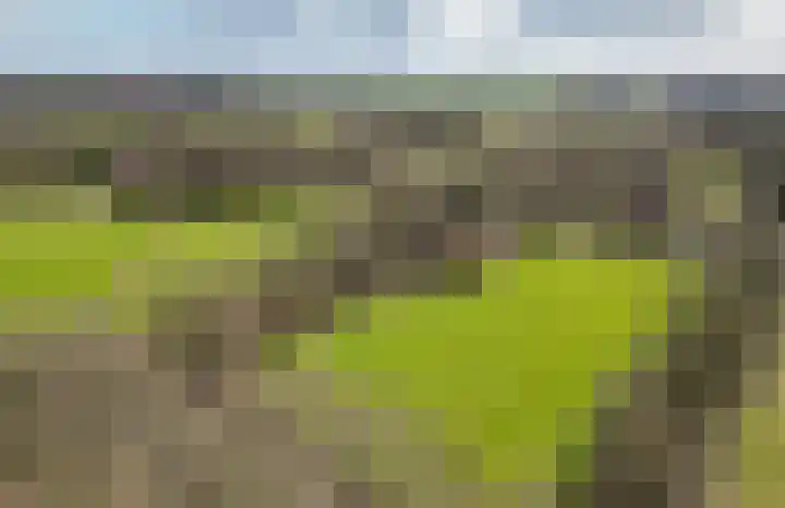 Voshaarweg 110 Enschede thumbnail 68