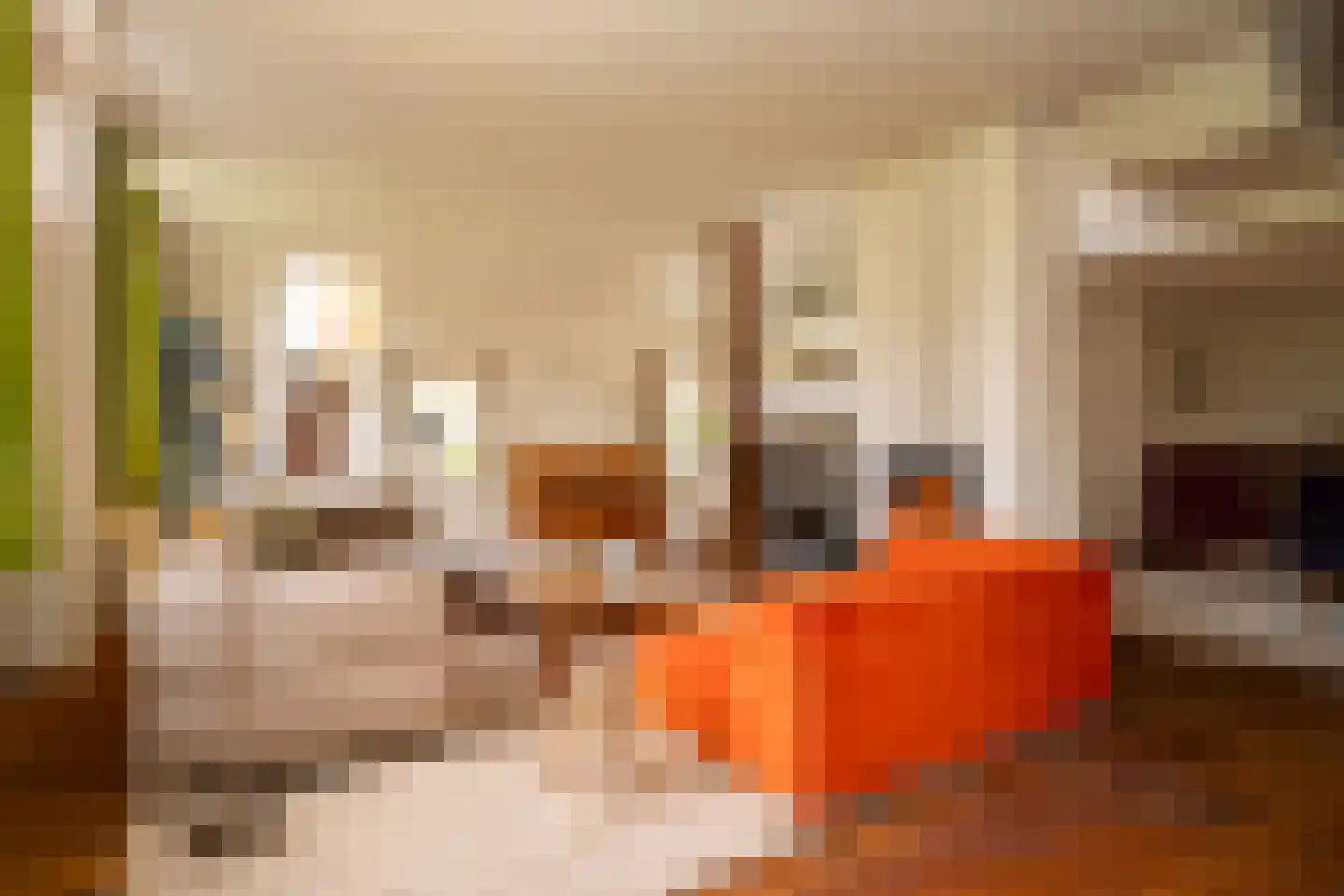 Voshaarweg 110 Enschede thumbnail 9