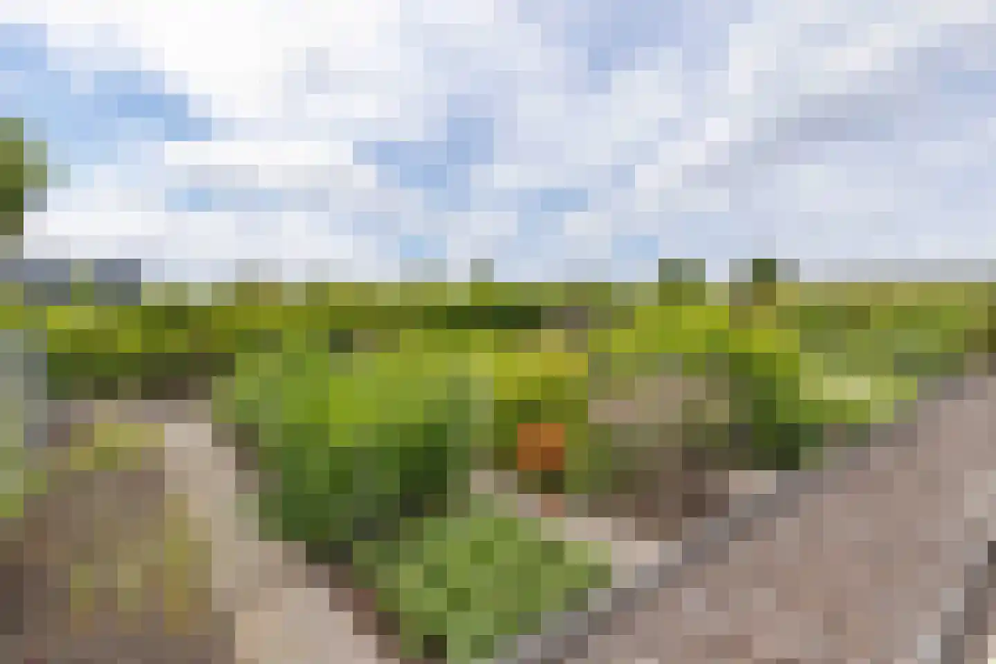 Voshol 39 Boskoop thumbnail 11