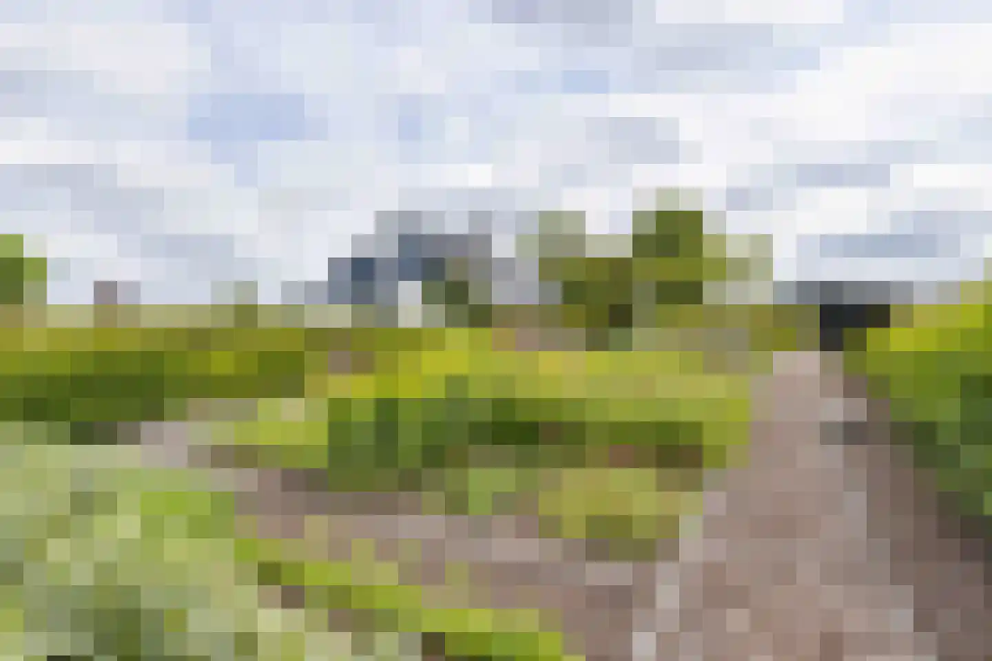 Voshol 39 Boskoop thumbnail 12