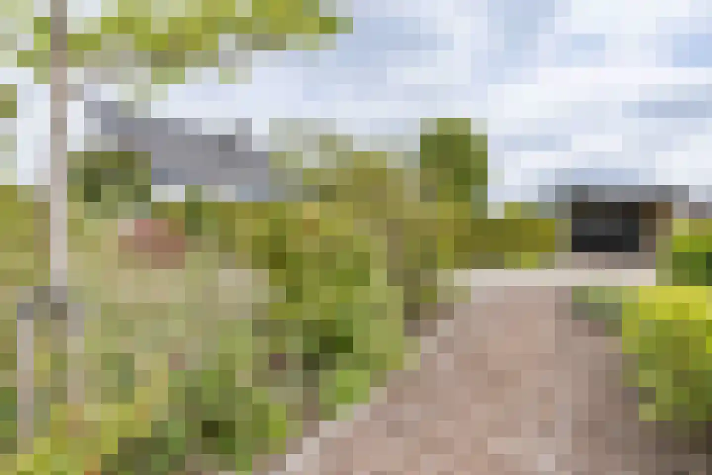 Voshol 39 Boskoop thumbnail 13