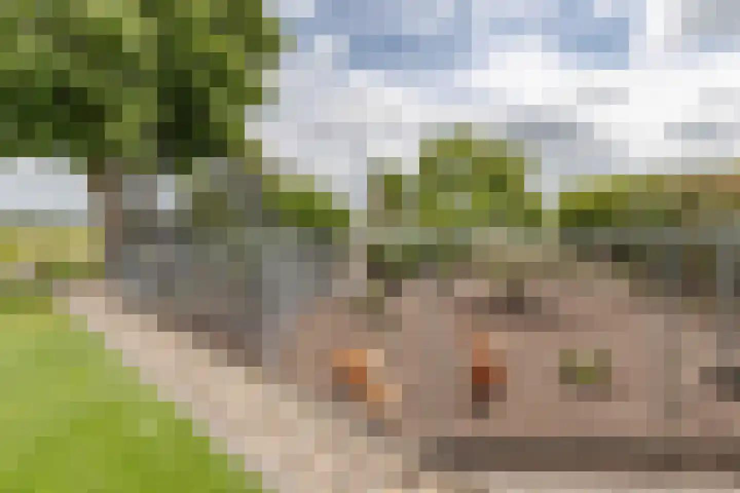 Voshol 39 Boskoop thumbnail 17