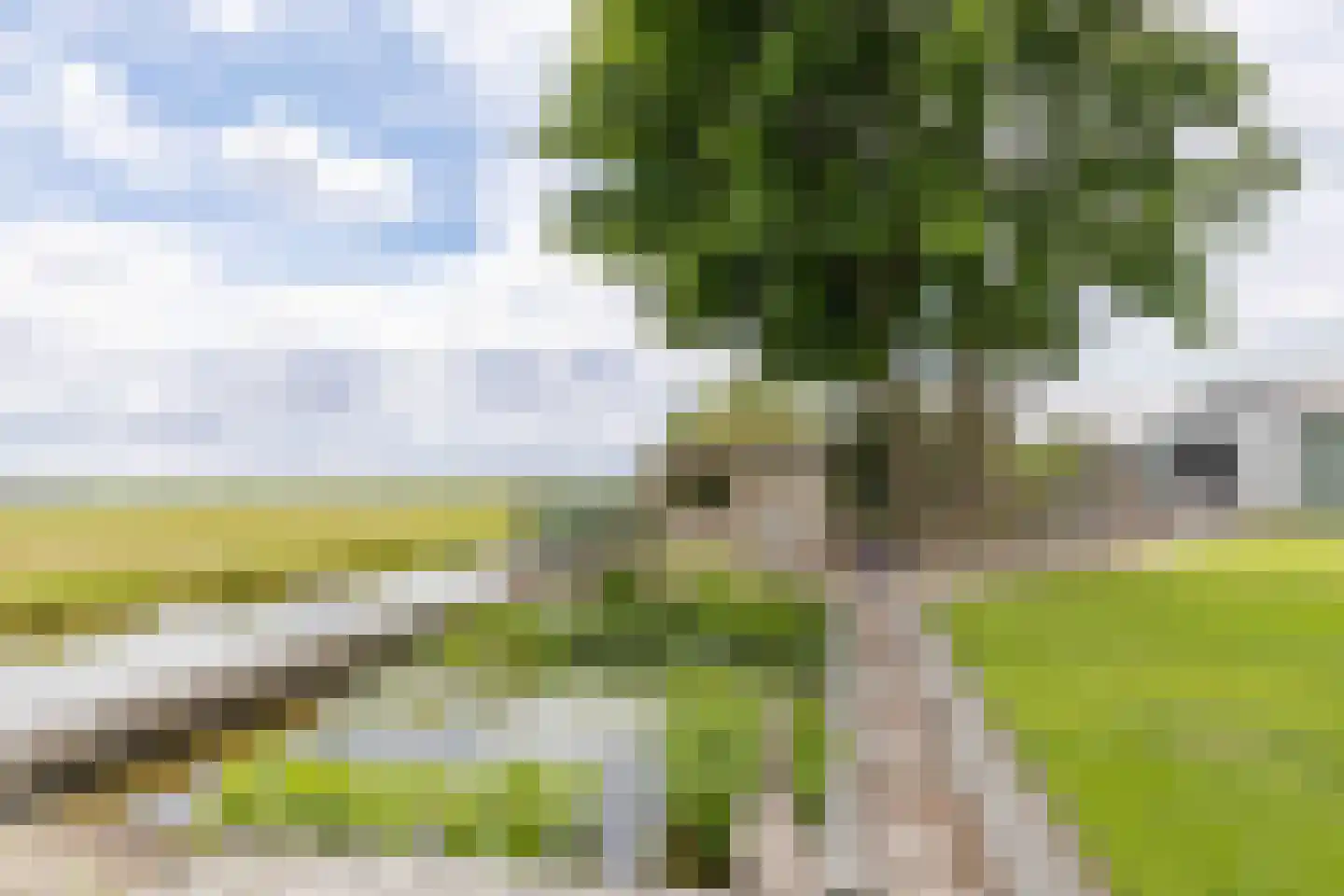 Voshol 39 Boskoop thumbnail 18