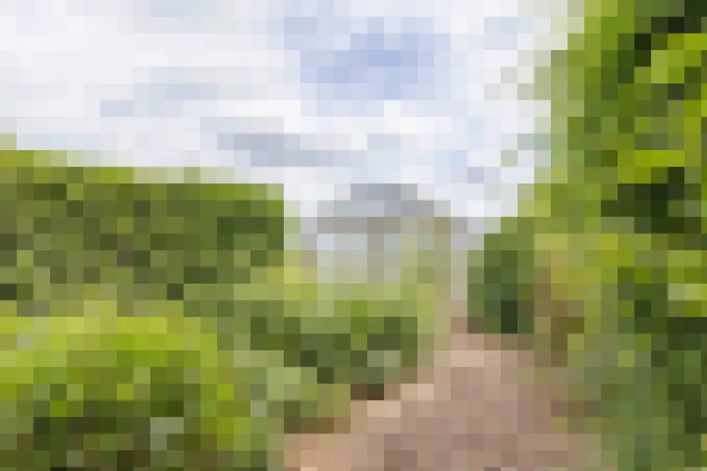 Voshol 39 Boskoop thumbnail 24