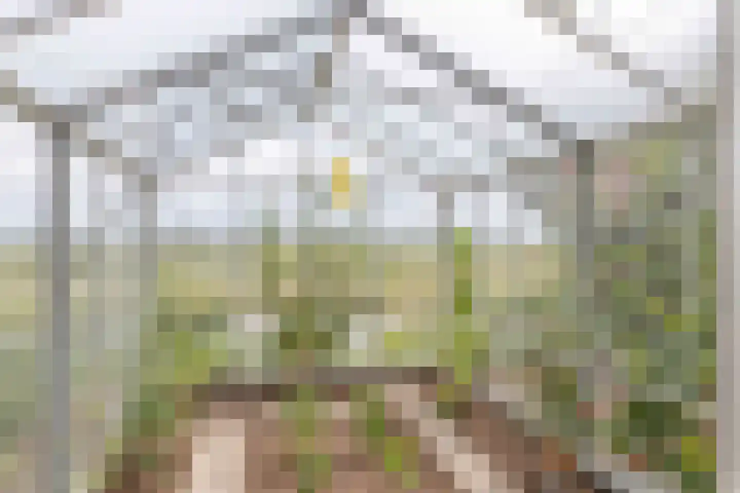 Voshol 39 Boskoop thumbnail 25