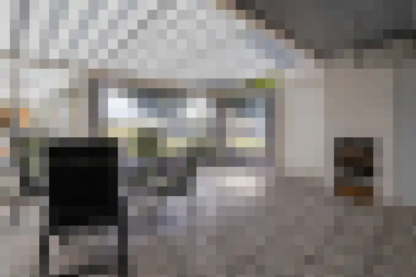 Voshol 39 Boskoop thumbnail 27