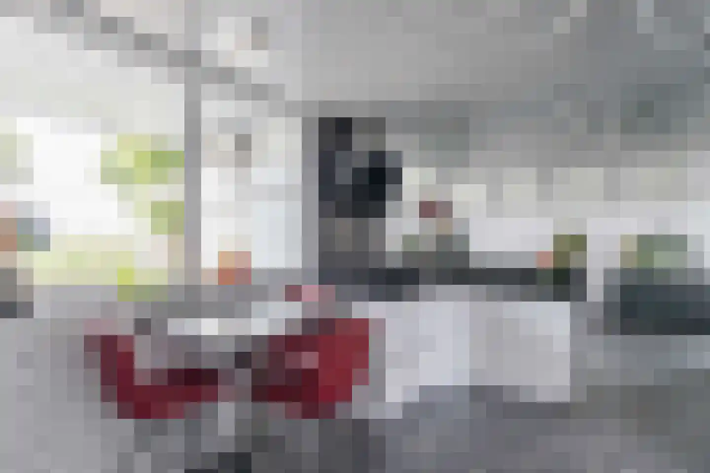 Voshol 39 Boskoop thumbnail 33