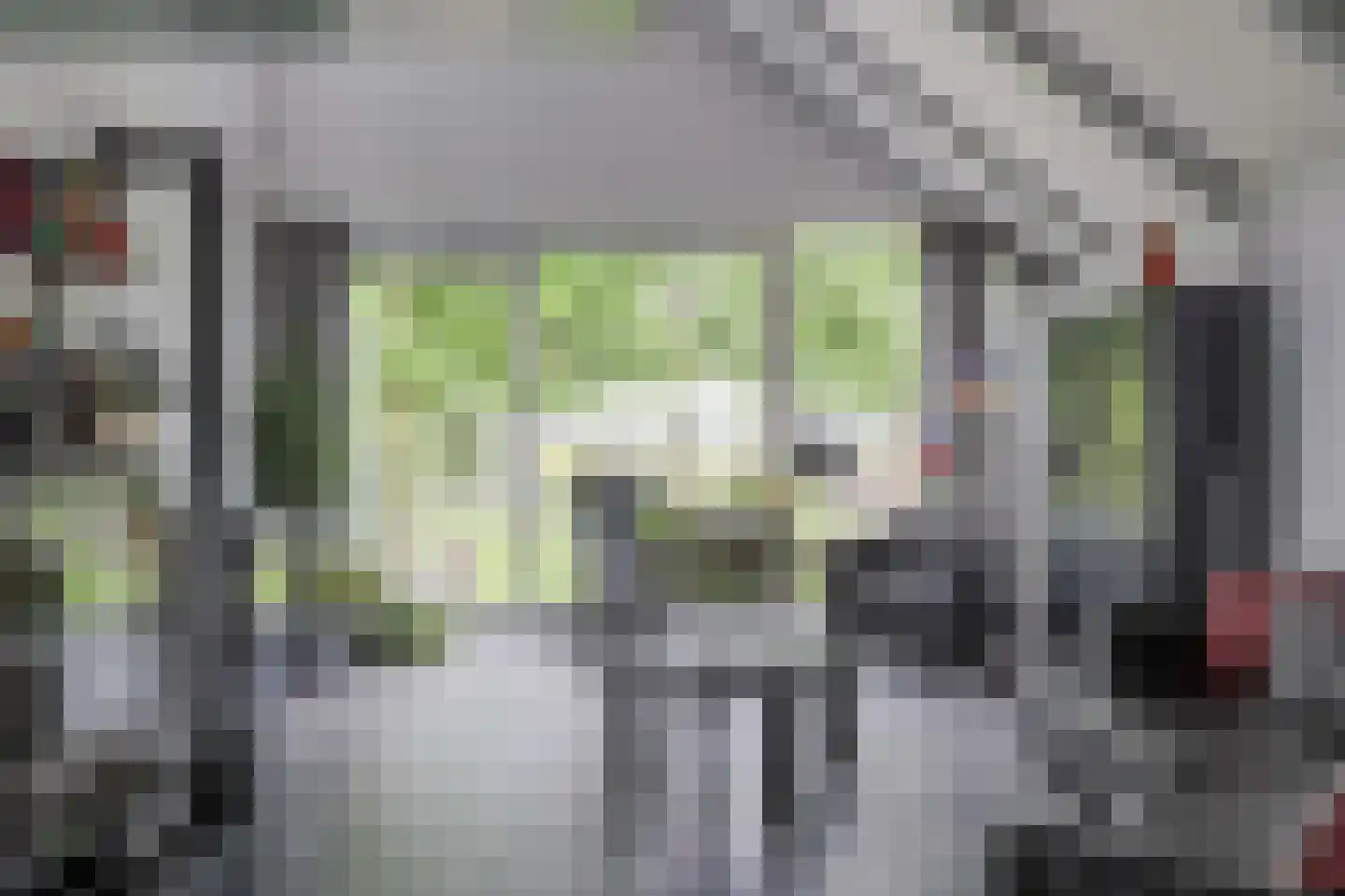 Voshol 39 Boskoop thumbnail 35