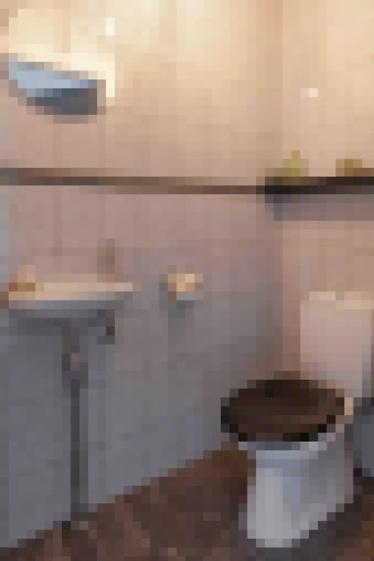 Voshol 39 Boskoop thumbnail 45