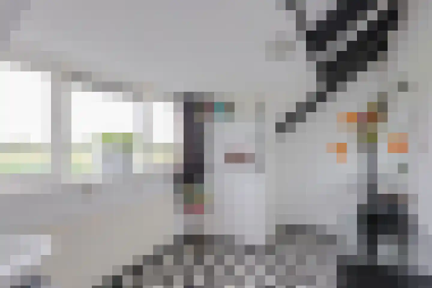 Voshol 39 Boskoop thumbnail 52