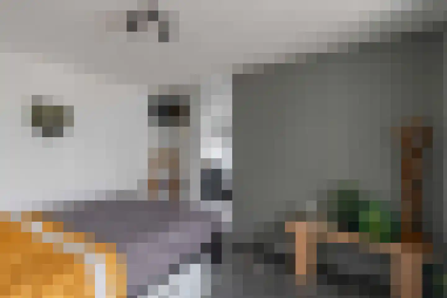 Voshol 39 Boskoop thumbnail 54