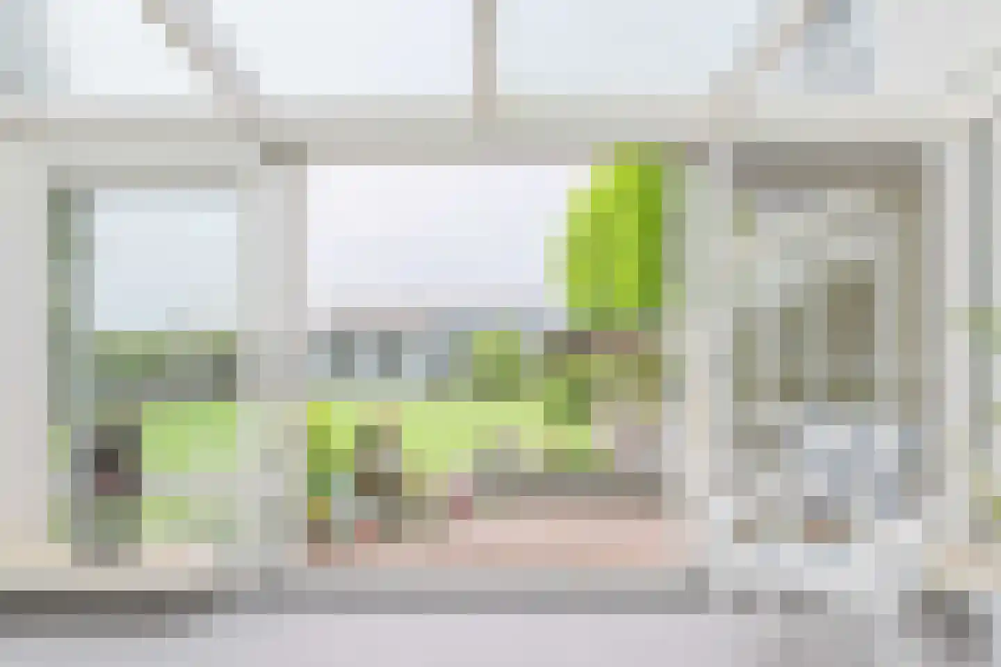 Voshol 39 Boskoop thumbnail 60