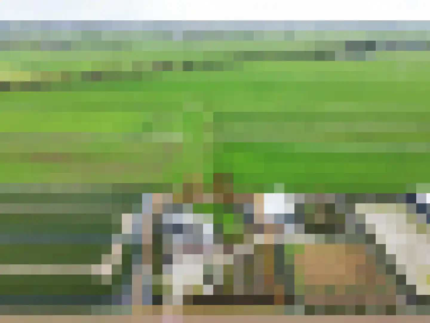 Voshol 39 Boskoop thumbnail 63