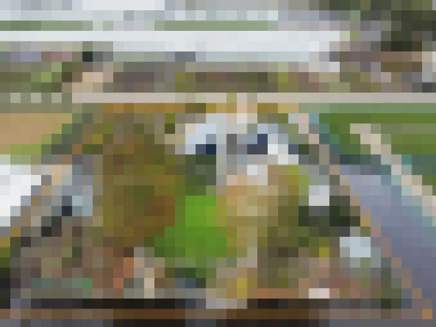 Voshol 39 Boskoop thumbnail 64