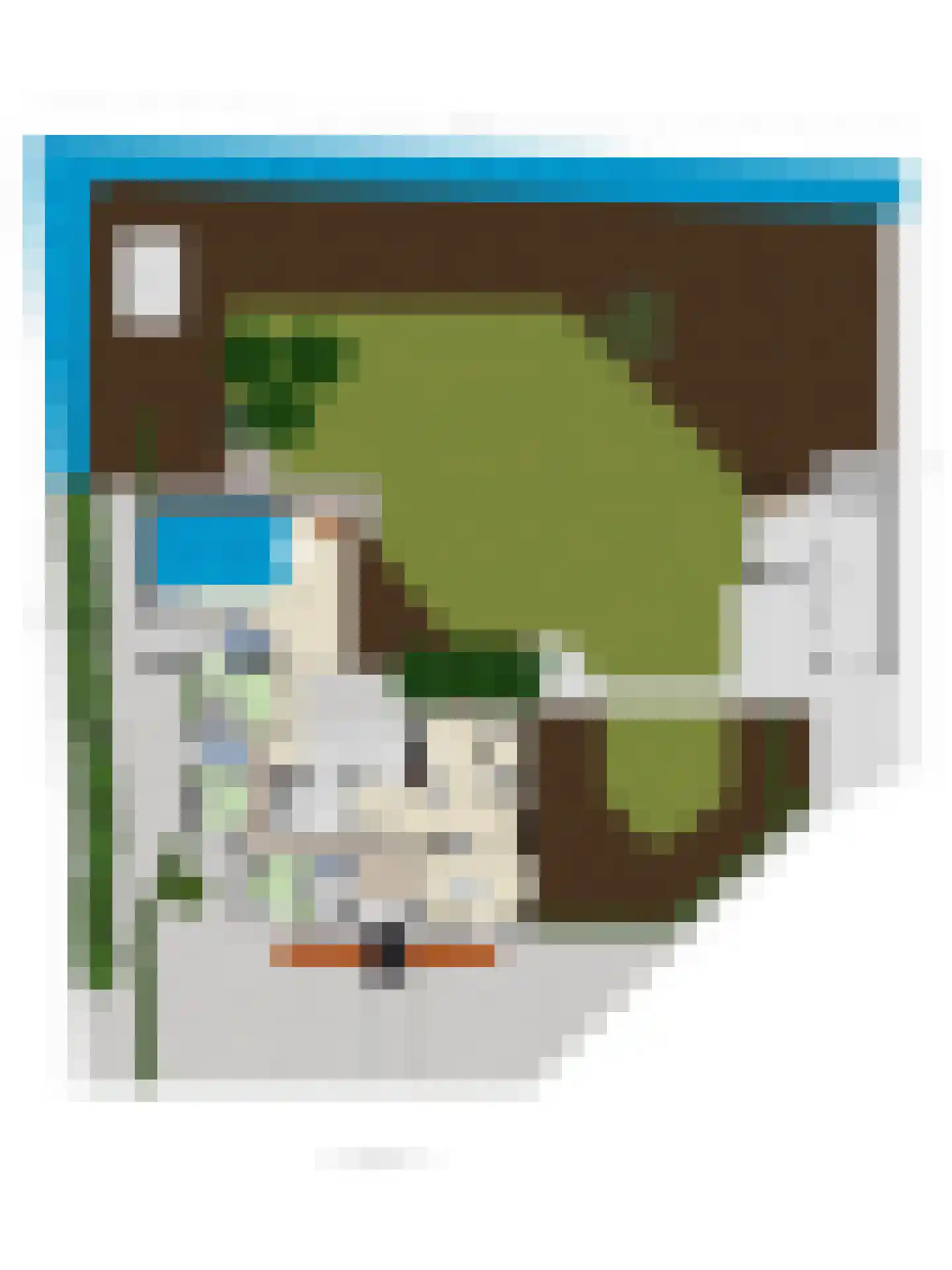 Voshol 39 Boskoop thumbnail 68