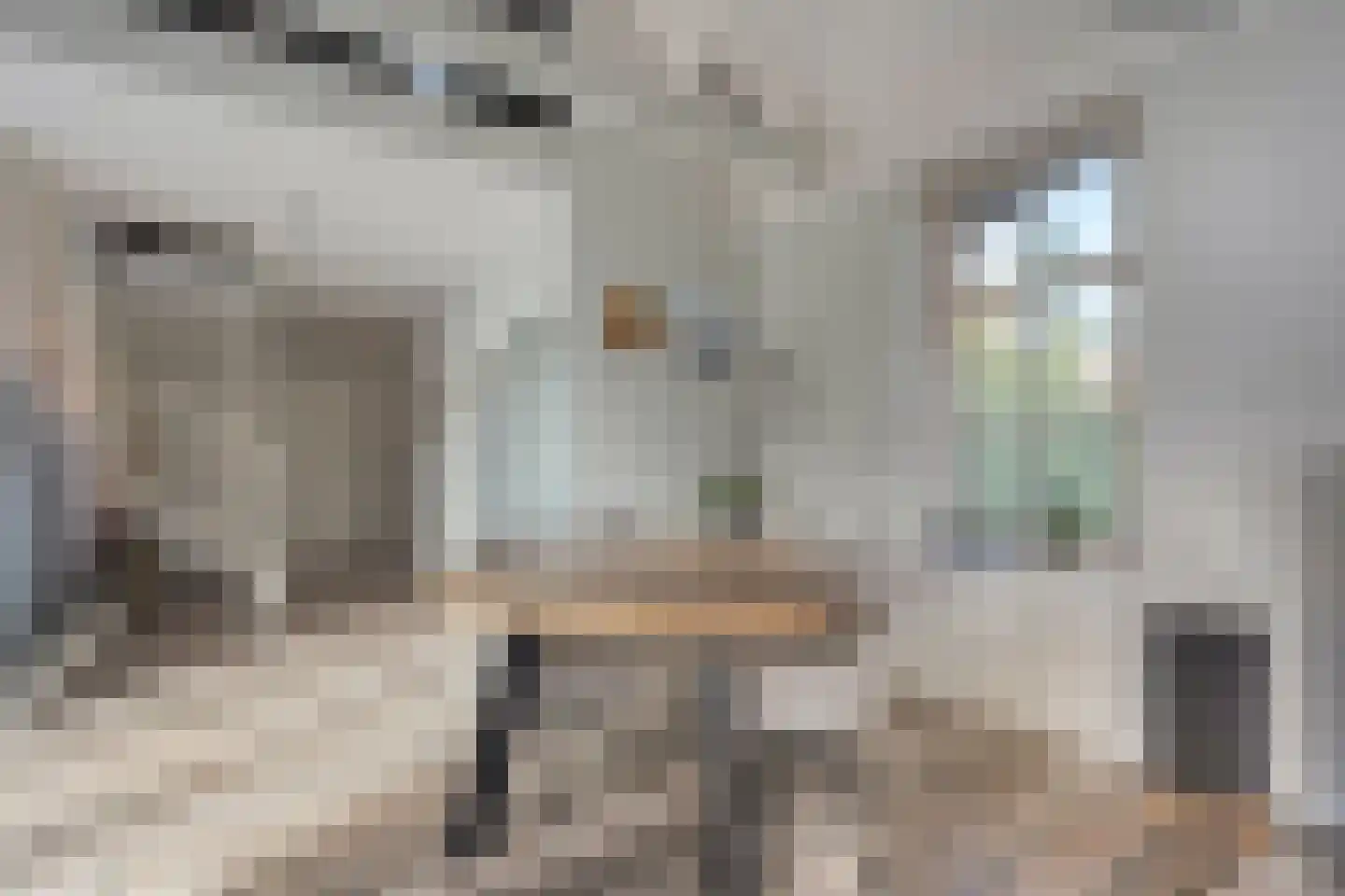 Vosjacht 6 Giethoorn thumbnail 18