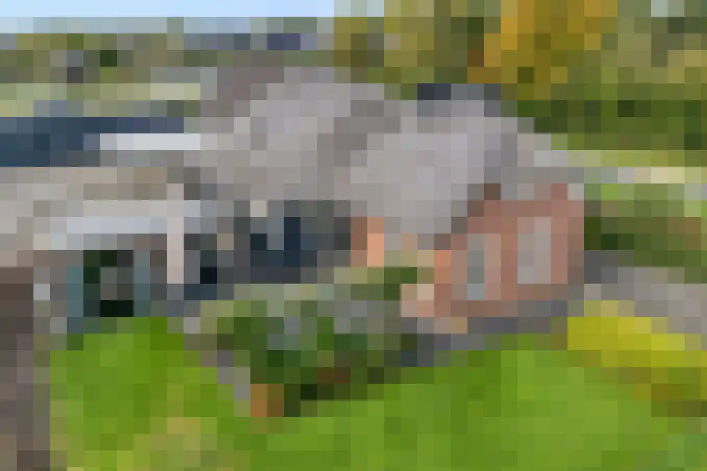 Vosjacht 6 Giethoorn foto 2