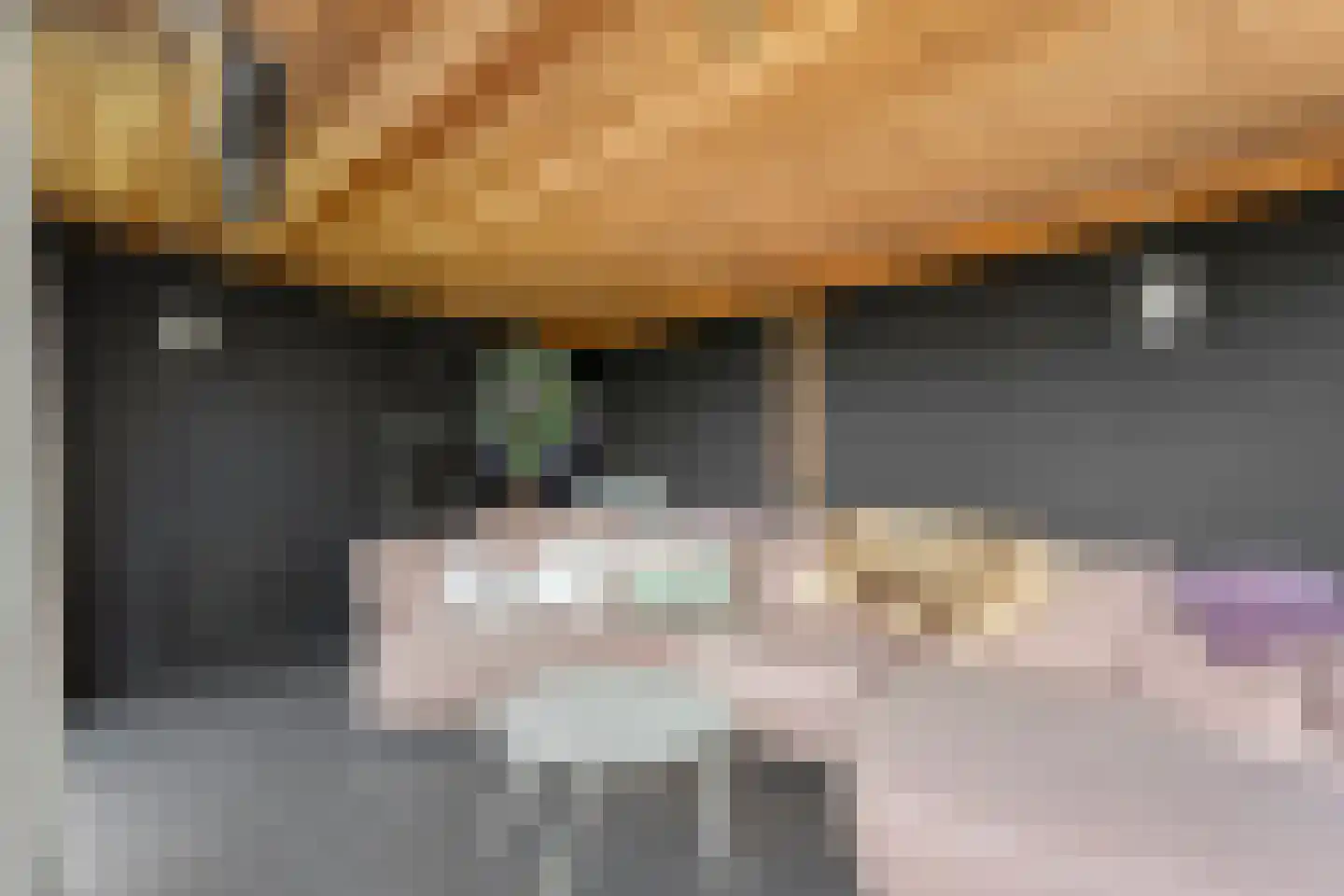 Vosjacht 6 Giethoorn thumbnail 41
